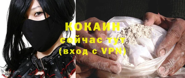 молекула духа Инсар