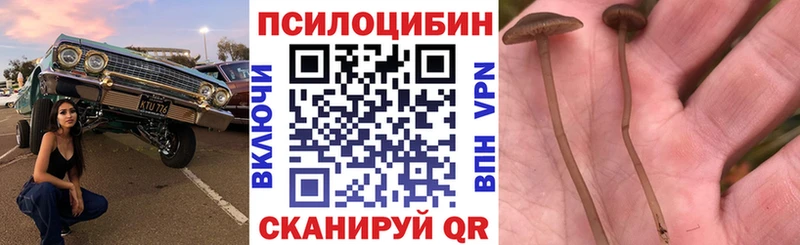 Галлюциногенные грибы Cubensis  как найти закладки  Родники 
