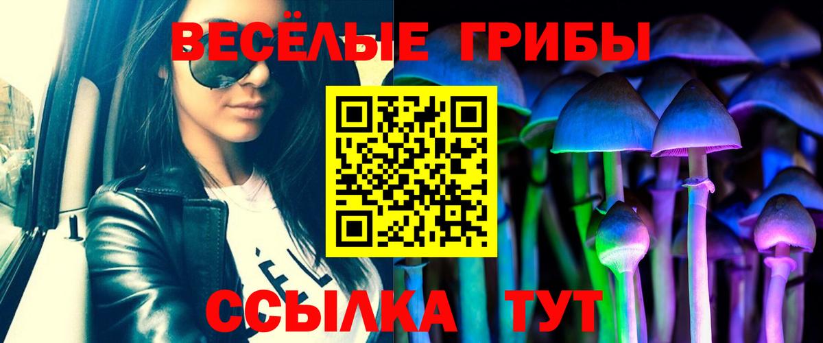 Родники  купить закладку  Вход с VPN  Псилоцибиновые грибы прущие грибы 
